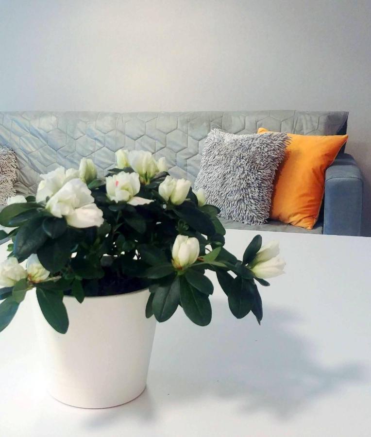 Apartament Bel Mare Wyspa, parking gratis Miedzyzdroje Bagian luar foto